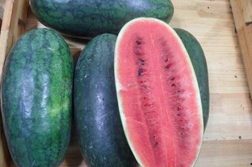 51朝阳吃瓜 网红黑料在线,网红黑料背后的真相