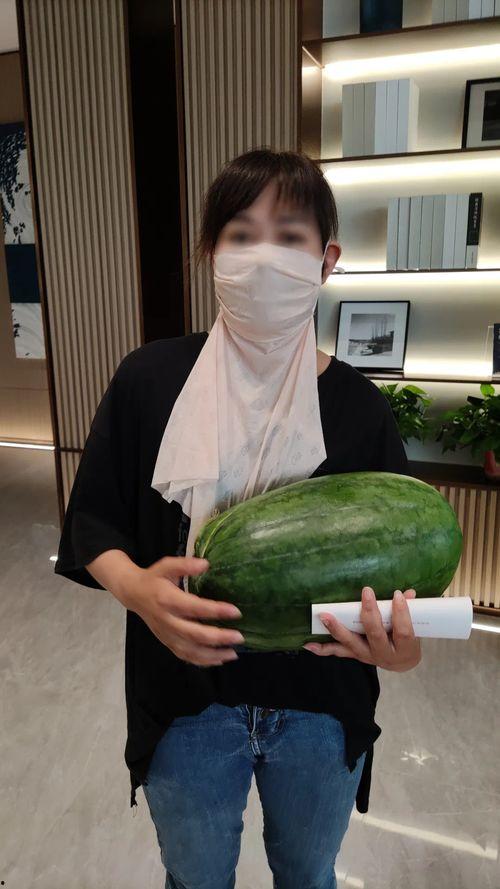 网红大瓜博雅吃瓜视频最全观看,全网最全大瓜集锦，一网打尽网红热点